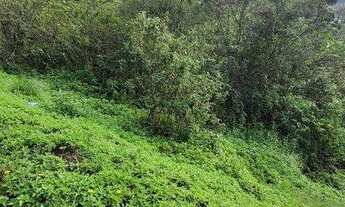 Imagem 2: Terreno à venda, 430 m² por R$ 120.000,00 - Badenfurt - Blumenau/SC