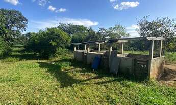 Imagem 7: Chácara no Distrito de Roselandia a 31 km do flamboyant- sentido Bela Vista GO