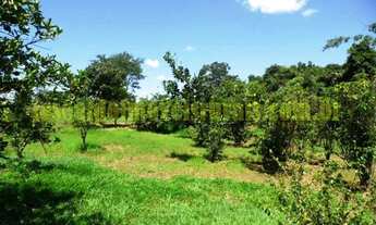 Imagem 3: Sítio 29,18 hectares, duas casas, formado, Prata Mg