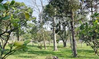 Imagem 2: Sítio único de 1,2 hectares no Jardim Krahe, centro de Viamão