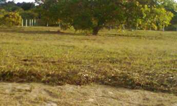 Imagem 4: Vendo área em Muriú com mais de 60 de lagoa, ideal para construção de hotel