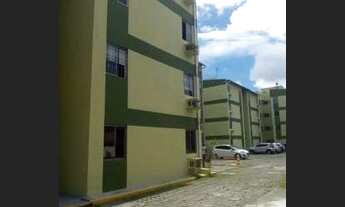 Imagem: Bosque da Várzea