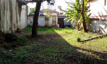 Imagem 7: Casa Terrea 4 dormitórios 3 banheiros