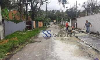 Imagem 4: Terreno aterrado, murado, em rua sem saída na praia Massaguaçu