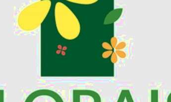 Imagem: Florais da mata 425 metros quadrados em