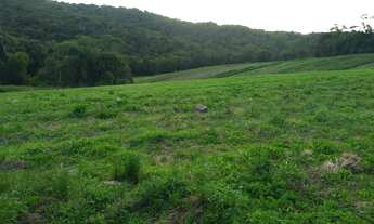 Imagem 3: Terreno de 1.000m² que vai suprir seu sonho!