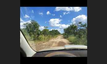 Imagem 2: Fazenda 1500 alqueires 150 km de Palmas Tocantins
