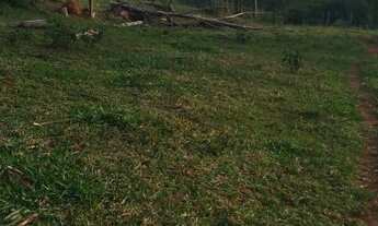 Imagem 6: COD:1542 Excelente sítio em Silvianópolis