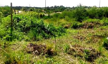 Imagem 3: Terreno no Santa Cecília 4,5x20