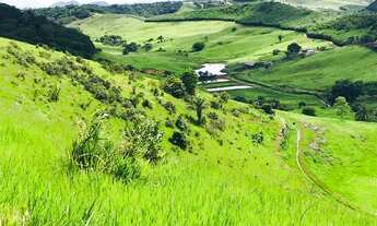 Imagem 3: FAZENDA EM MATRIZ DE CAMARAGIBE