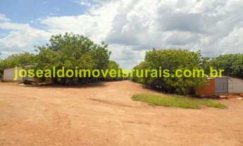 Imagem 4: Granja de Frangos funcionando, 25 km Monte Alegre de Minas MG