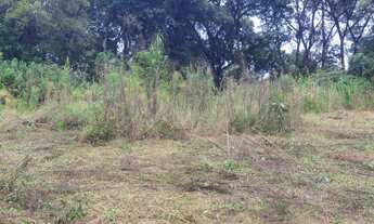 Imagem 6: ÓTIMO TERRENO (2000M2) PROX SANTA FELICIDADE