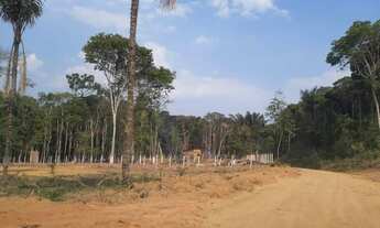 Imagem: Terreno 20x50 grande no janauari Iranduba