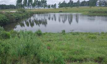 Imagem 2: Sítio com 44 hectares com excelente localização