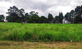 Imagem 16: Lote/Terreno para venda com 500 metros quadrados em Jardim Lavapes das Graças - Cotia - SP