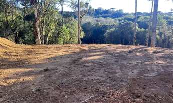 Imagem 5: Chácara Chácara com venda por R$150.000