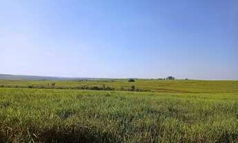 Imagem 2: Fazenda na região de Umuarama - Pr