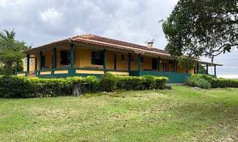 Imagem: Itapetininga Região Fazenda 65 Alqueires