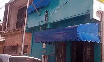 Imagem 2: Disponível para venda! Lírio do vale