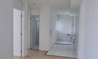 Imagem 3: Parque Brito - Campo Grande