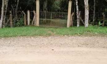 Imagem 5: Chácara em Colonia Matos - Mandirituba