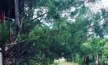 Imagem 2: Um verdadeiro paraíso localizada no eixo do parque nacional de Ubajara