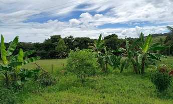 Imagem 7: Sítio ótimo investimento ,casa boa ,formado ,planta 90