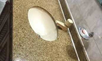 Imagem 5: ALUGO CASA COM 3 QUARTOS