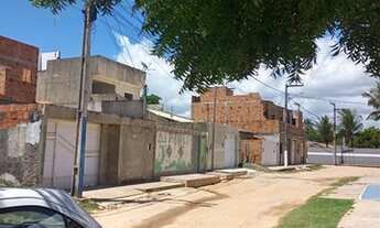 Imagem 2: Terreno próximo ao rio povoado Areia Branca mosqueiro