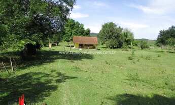 Imagem 4: Imobiliária Fabio Paes - Sítio a venda BEIRA RIO com 4 alq (19.36 ha) planos