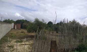 Imagem: Terreno em Pium