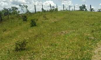 Imagem 3: Fazenda de 102 alqueires em Padre Bernardo Go