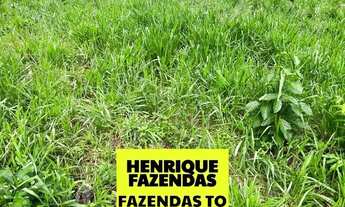 Imagem 2: Fazenda de oportunidade região central dupla aptidão