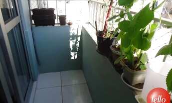 Imagem 4: São Paulo - Apartamento Padrão - Santa Cecília