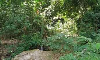 Imagem 7: Ampla Chácara Vila Progresso