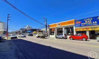 Imagem 2: São José - Apartamento - Campinas