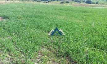 Imagem 3: Sítio à venda, 798600 m² por R$ 6.100.000,00 - Rural - Cornélio Procópio/PR