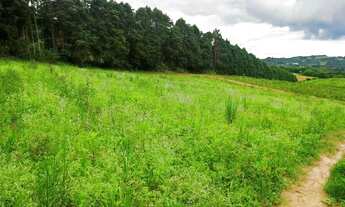 Imagem: Lote/Terreno para venda possui 500 metros