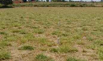 Imagem 6: Vendo terreno em iara R. Pedro Martins, Bento Simões, Irará - 8m X 20m valor 17.000,00