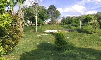 Imagem 6: Sítio Estrada do Cerrinho