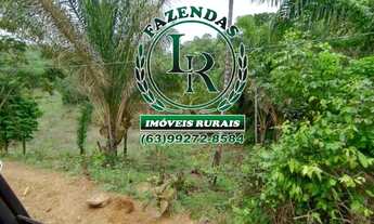 Imagem 6: Fazenda 43 Alqueires Próximo a Palmas