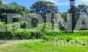 Imagem 3: Rural Terreno sem Condomínio em São Carlos