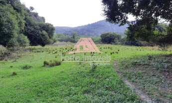 Imagem: Excelente área com mais de 200mil metros