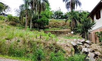 Imagem 6: Terreno na BR 116