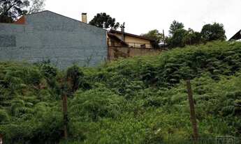 Imagem 6: Terreno,bairro Universitário