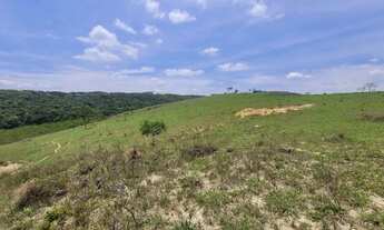 Imagem 4: Fazenda de 277 hectares