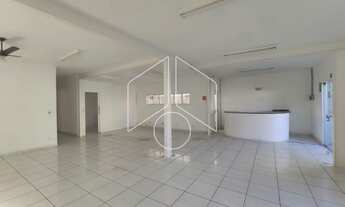 Imagem 3: Comercial LojaSalão em Marília