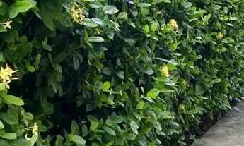 Imagem: Venda de apartamento