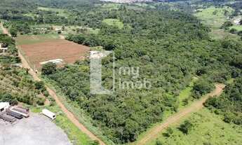 Imagem 2: Área Na Saída para Nerópolis