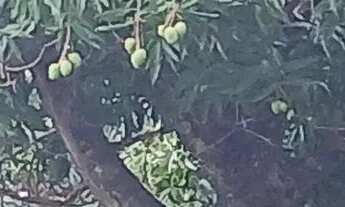 Imagem 3: Terreno Tatui Terreno / lote com venda por R$87.000